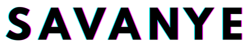 Primary Store Logo